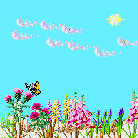 Butterfly.animation"